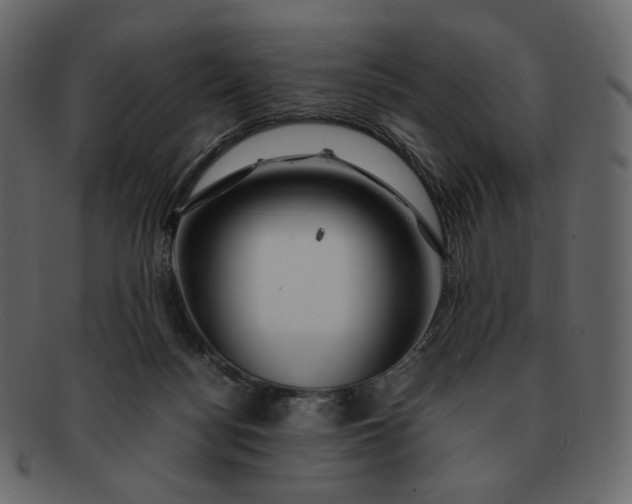 X0000092290172200710051208