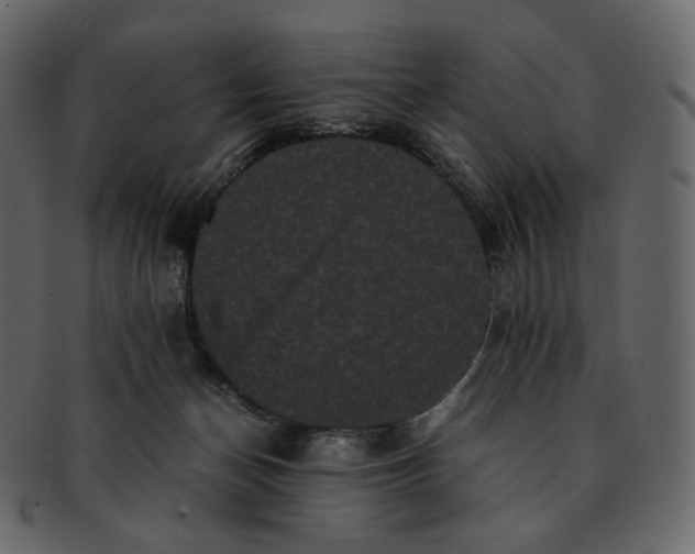 X0000092290174200710051208