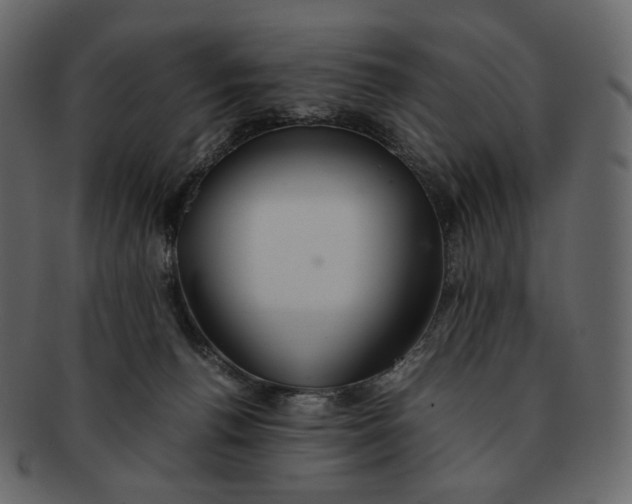 X0000092290176200710051208