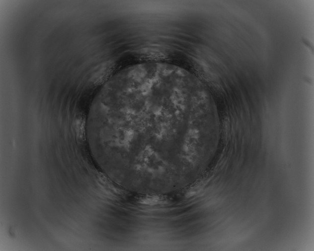 X0000092290177200710051208