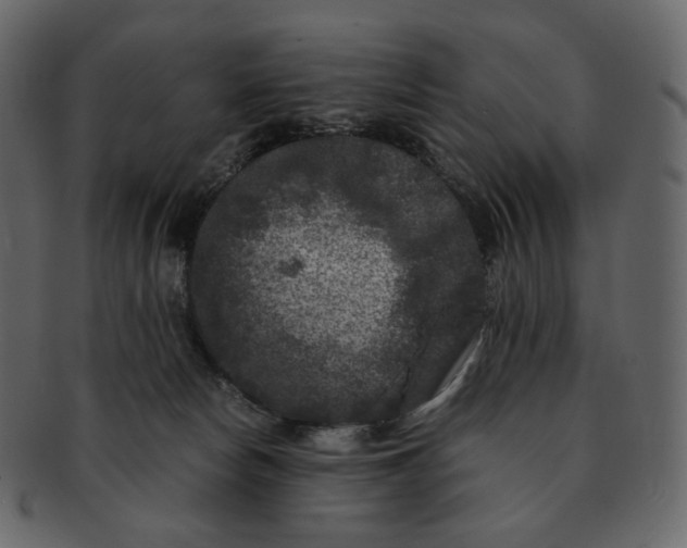 X0000092290178200710051208