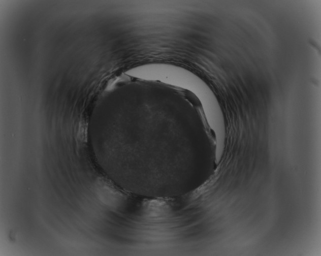 X0000092290180200710051208