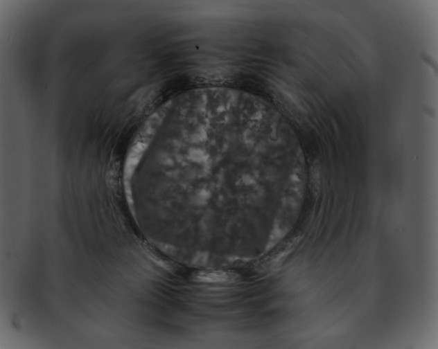 X0000092290181200710051208