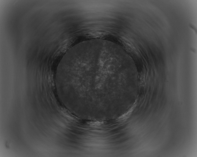 X0000092290182200710051208