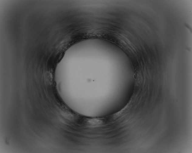 X0000092290183200710051208