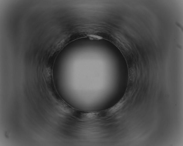 X0000092290184200710051208