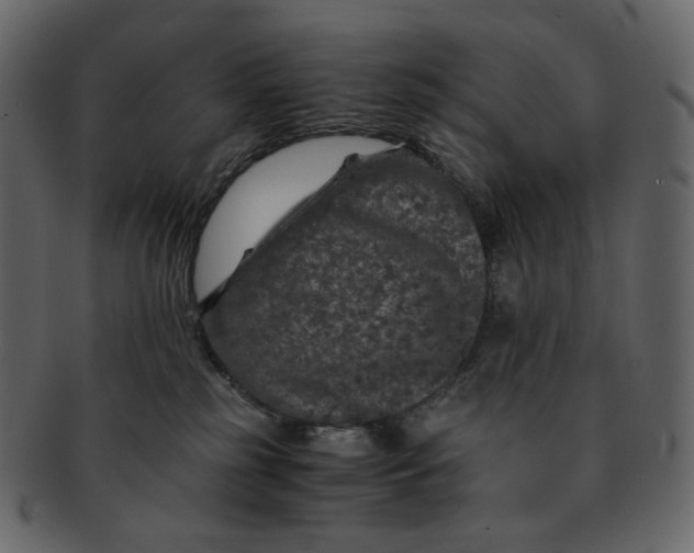 X0000092290185200710051208