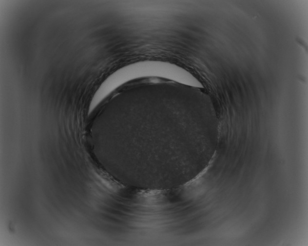 X0000092290186200710051208