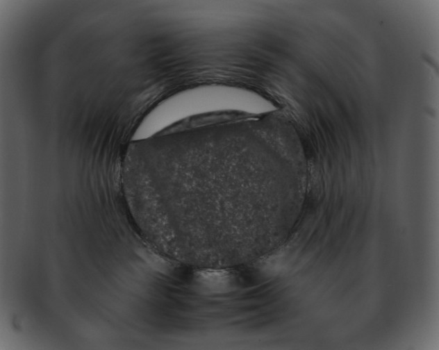 X0000092290189200710051208