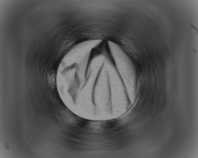 X0000092290190200710051208