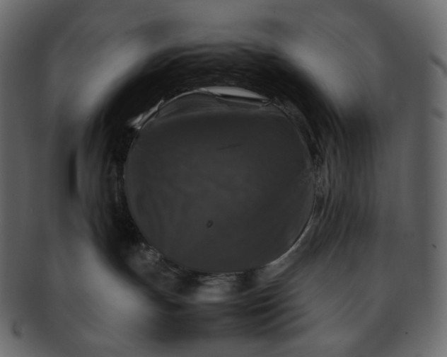 X0000092290191200710051208