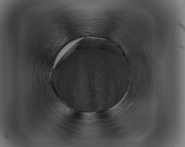 X0000092290192200710051208