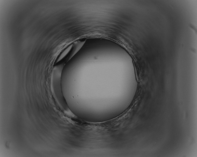 X0000092290193200710051208