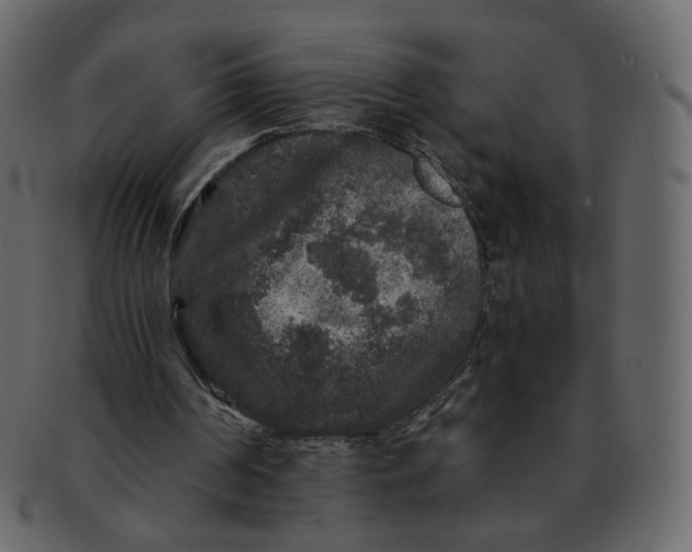 X0000092290194200710051208