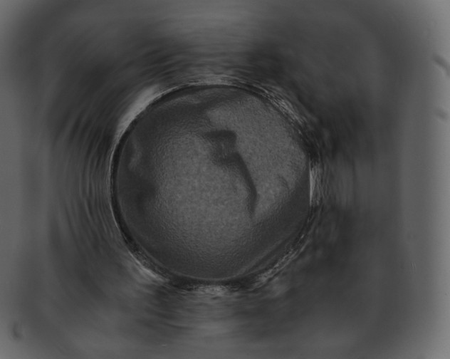 X0000092290195200710051208