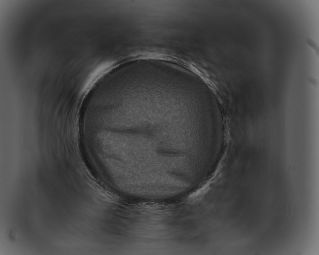 X0000092290199200710051208