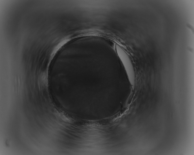 X0000092290200200710051208