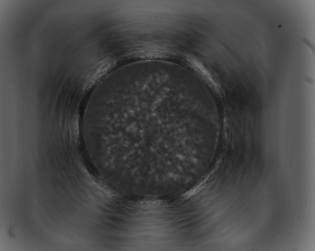 X0000092290202200710051208