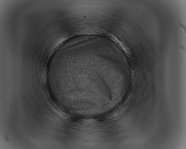 X0000092290203200710051208