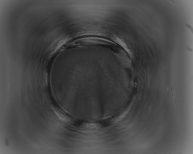 X0000092290205200710051208