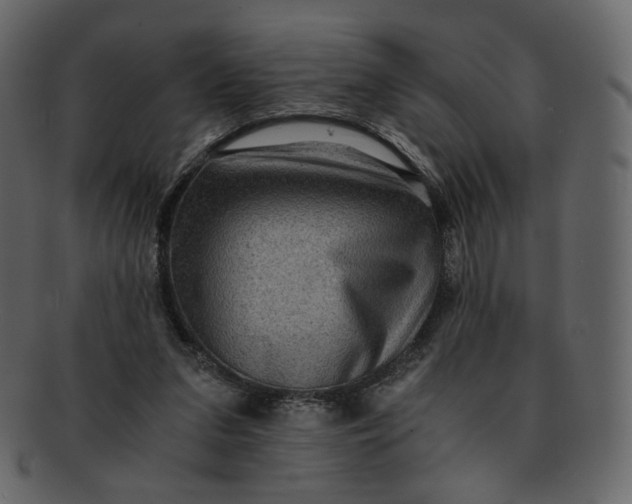 X0000092290207200710051208