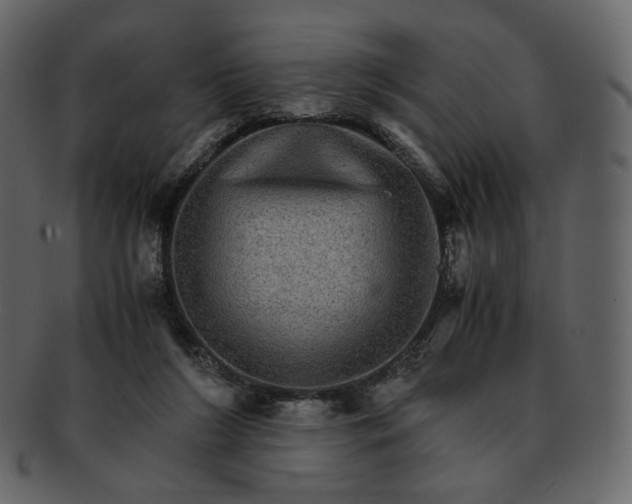 X0000092290212200710051208