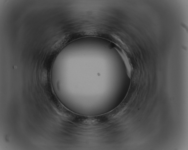 X0000092290213200710051208