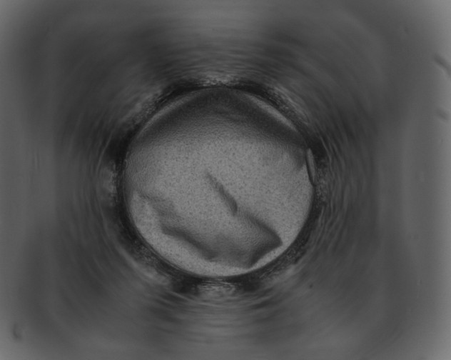 X0000092290215200710051208