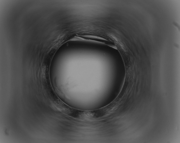 X0000092290217200710051208