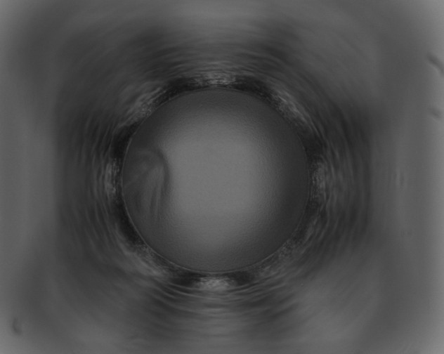 X0000092290218200710051207