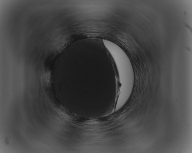 X0000092290219200710051207