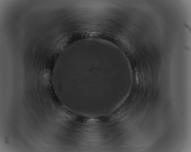 X0000092290222200710051207