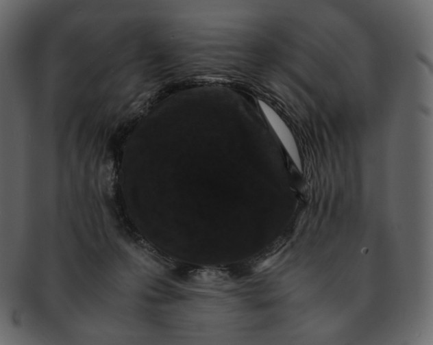 X0000092290223200710051207