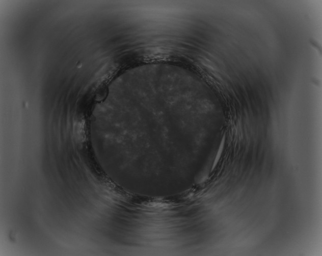 X0000092290224200710051207