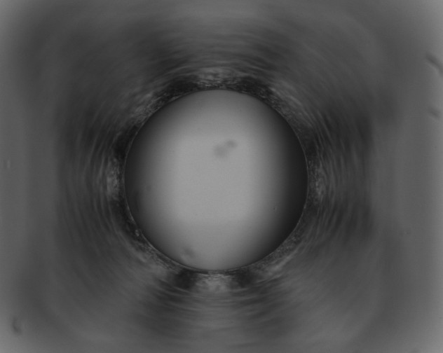 X0000092290226200710051207