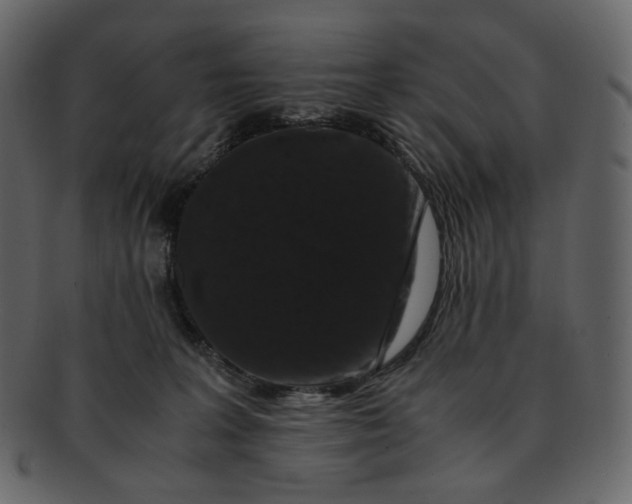 X0000092290227200710051207