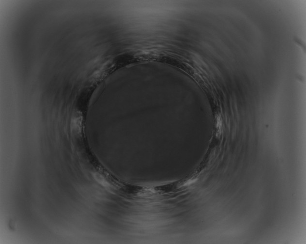 X0000092290231200710051207