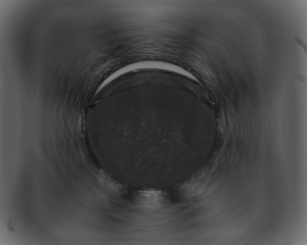 X0000092290233200710051207