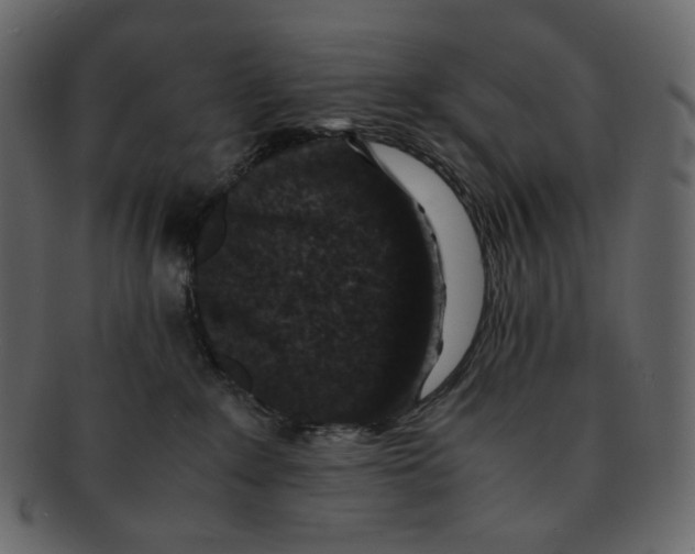 X0000092290235200710051207