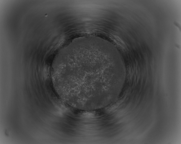 X0000092290236200710051207