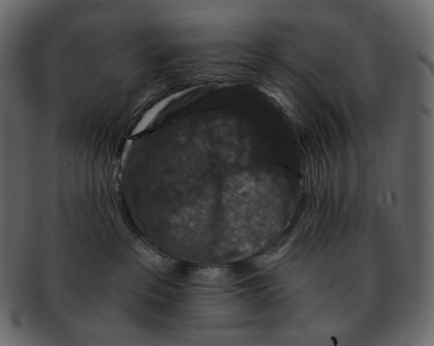 X0000092290237200710051207