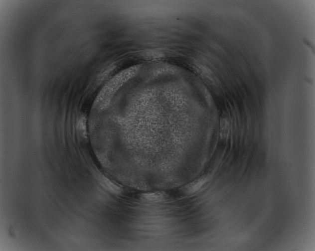 X0000092290238200710051207