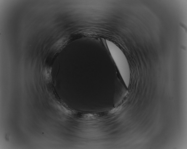 X0000092290239200710051207