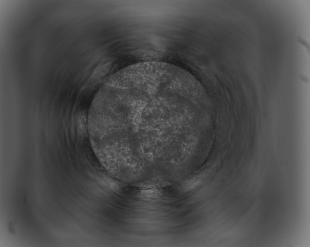 X0000092290240200710051207