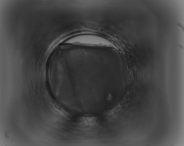 X0000092290247200710051207