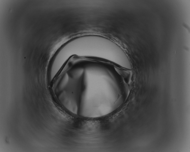 X0000092290248200710051207