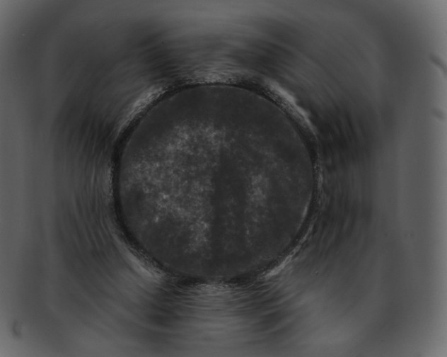 X0000092290250200710051207