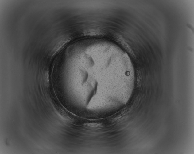 X0000092290251200710051207