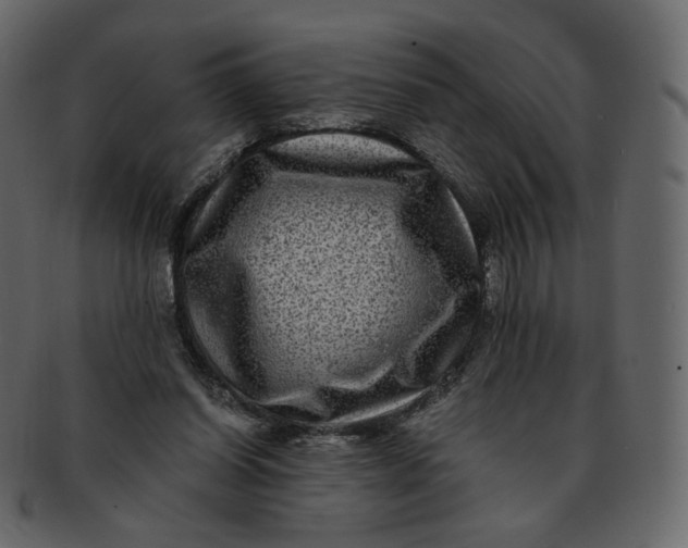 X0000092290254200710051207