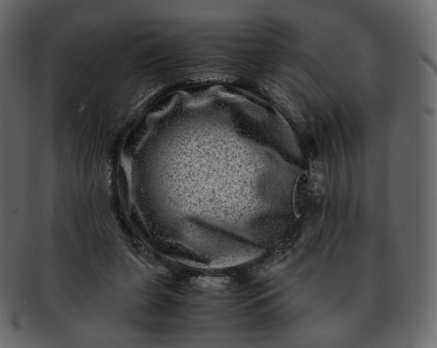 X0000092290255200710051207